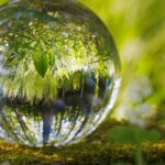une bulle d'eau où se reflète une forêt