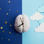 une horloge en forme de cerveau