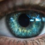un oeil en gros plan