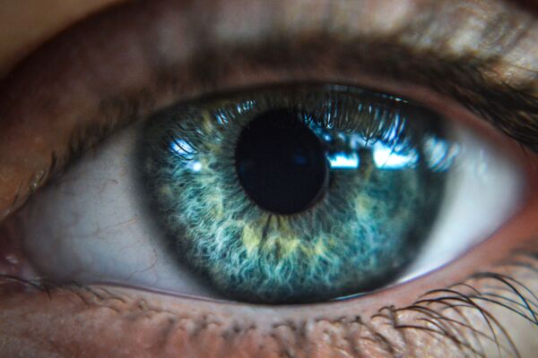 un oeil en gros plan