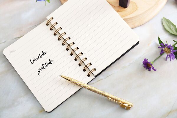un carnet indiquant carnet de gratitude